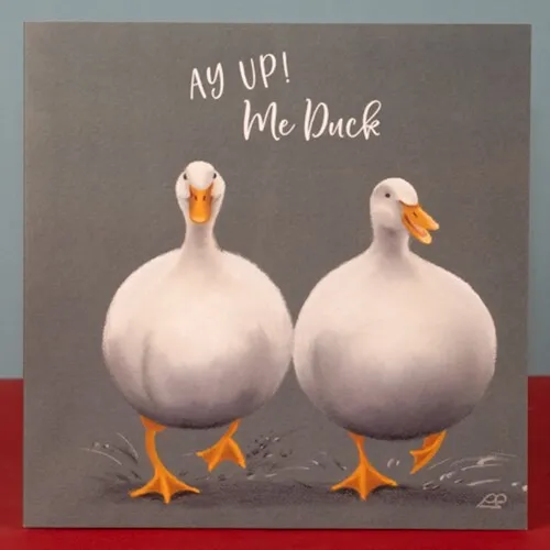 Ay Up Me Duck